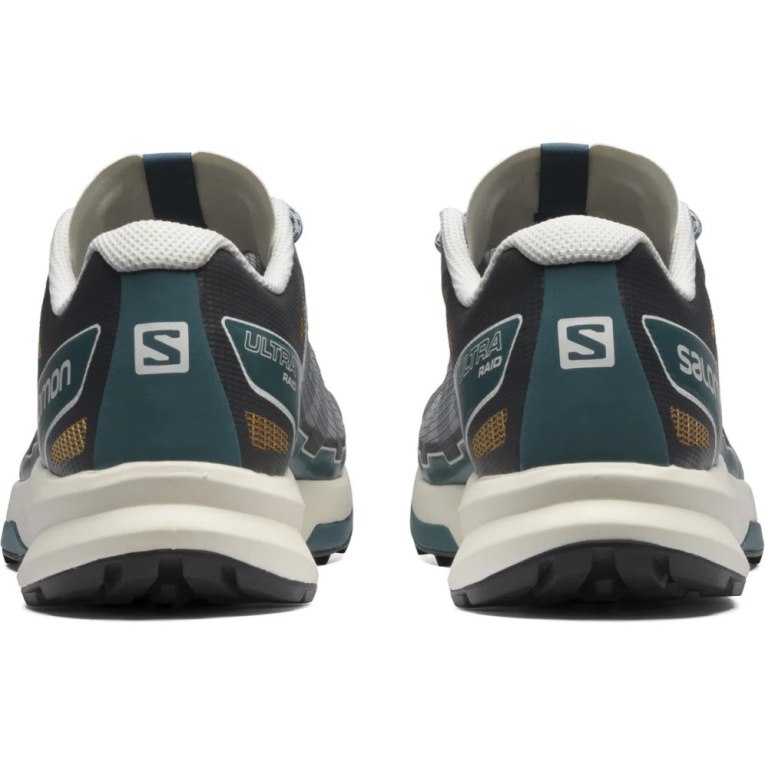 Tenis Salomon Ultra Raid Hombre Grises | MX UCIX529